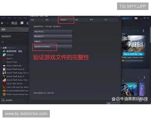 电脑打游戏非全屏显示问题解决方法详细指南 电脑打游戏非全屏显示问题解决方法详细指南